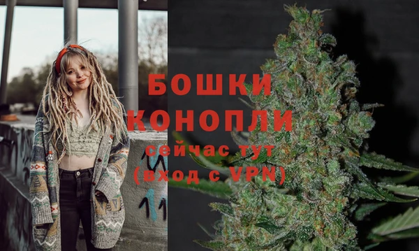 каннабис Магас
