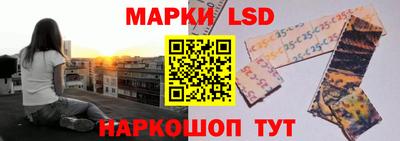 Альфа ПВП Донецк