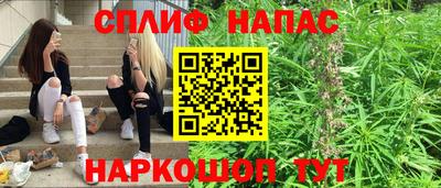 мет Дубна