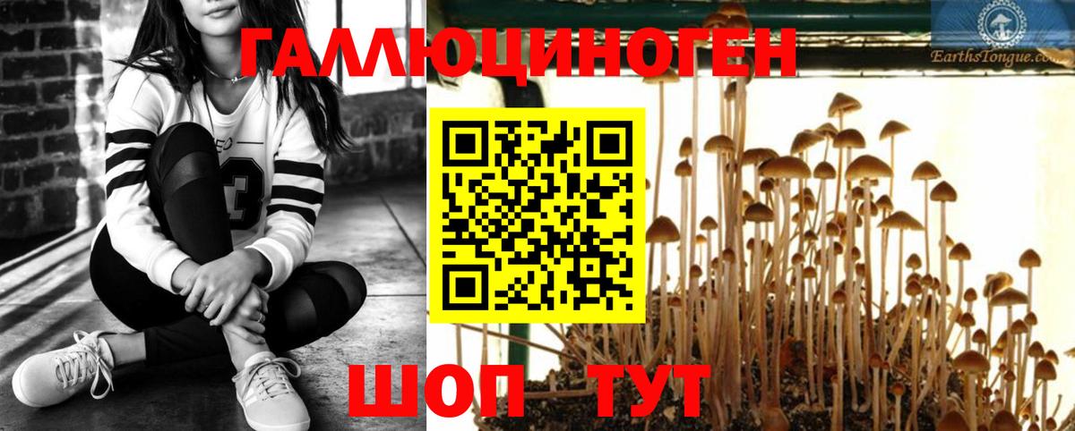 Тамбов  Псилоцибиновые грибы Psilocybine cubensis  Вход с VPN  наркота  Псилоцибиновые грибы Magic Shrooms 